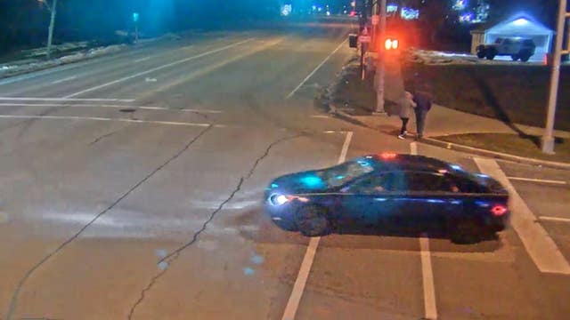 Madison hit-and-run, man and dog dead
