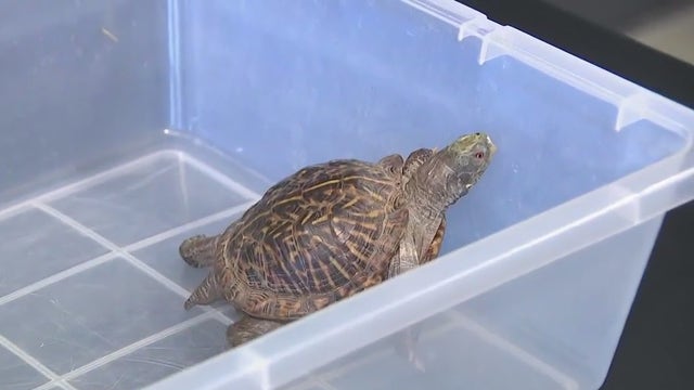 Zoological Society of Milwaukee’s Summer Zoo Camps