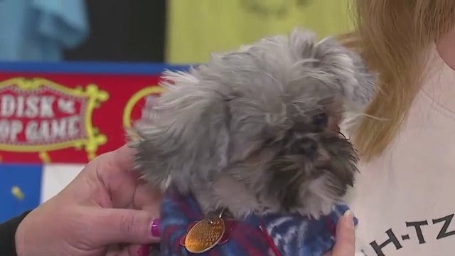 Great Lakes Pet Expo; support Wisconsin’s homeless animals