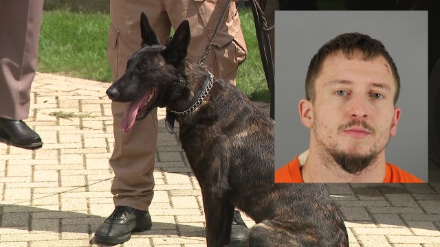Janesville man kicked Waukesha County K-9 'devil dog:' complaint