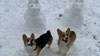 Wisconsin spring snowstorm: Share pictures of the snow near you ❄️