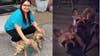 Milwaukee French bulldogs believed stolen found safe