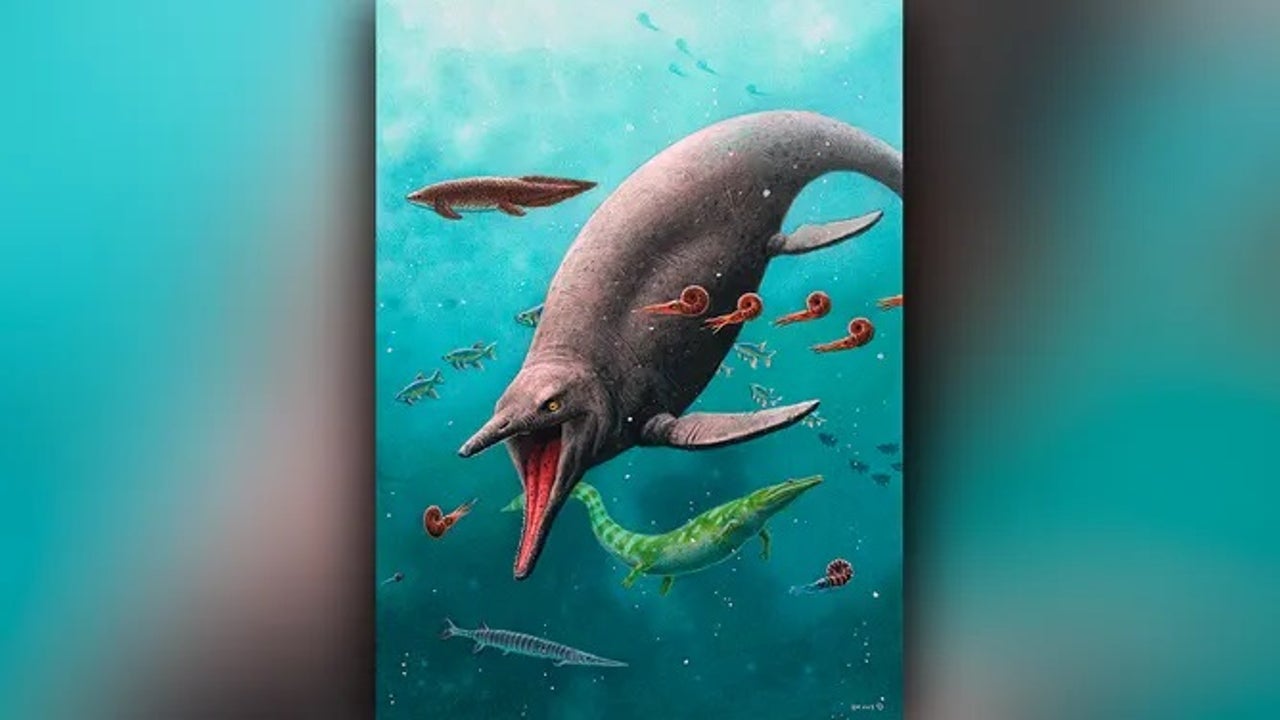 Oldest sea reptile remains from 2 million years ago found on Arctic island