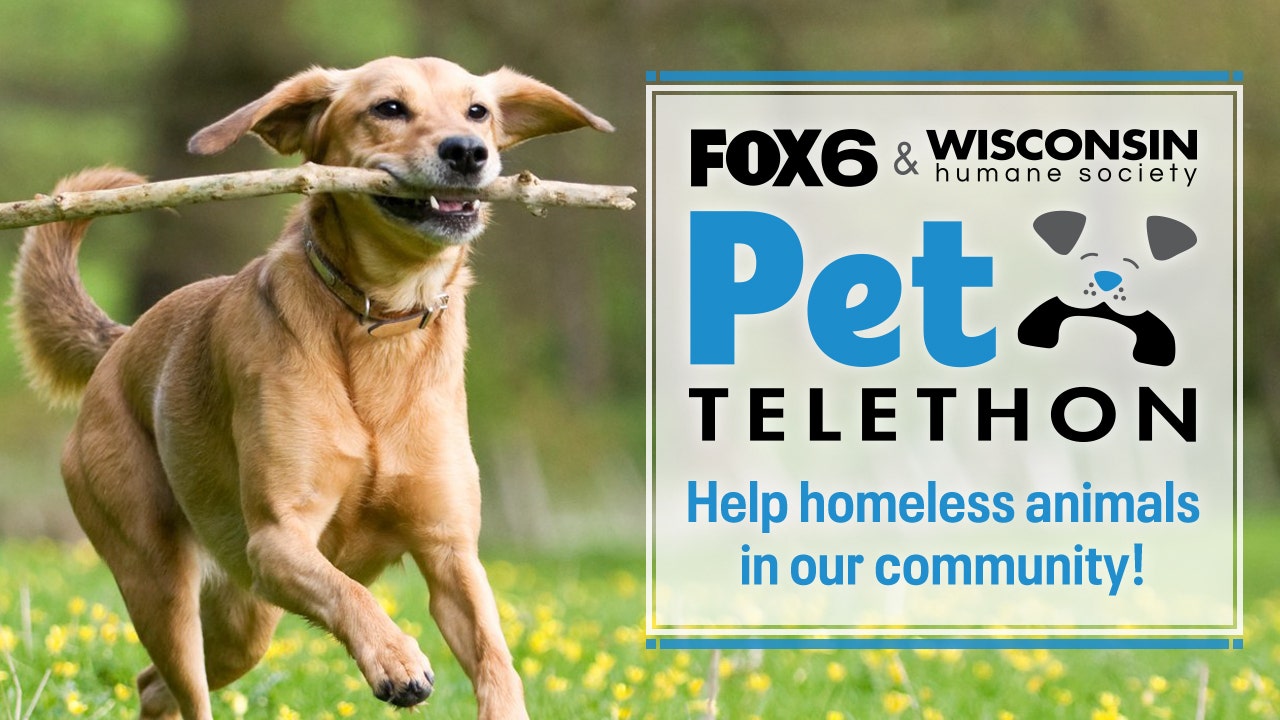 FOX6, Wisconsin Humane Society Pet Telethon set for Friday, March 10