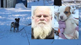 34 Washington County dogs seized, West Bend man charged