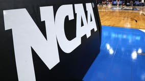 March Madness 'Bracketology:' How to best fill out your bracket