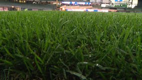 American Family Field: New turf for Milwaukee Brewers, opening day