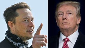 Twitter's Elon Musk predicts Trump will win re-election in 'landslide victory' if arrested