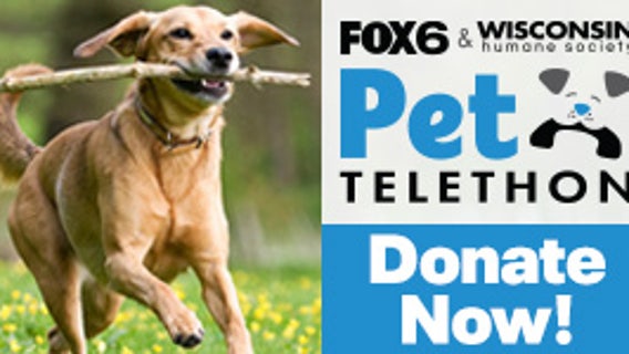 Fox6, Wisconsin Humane Society Pet Telethon