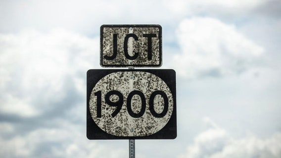 Jack Daniel's warehouse blocked due to ethanol vapors, black whiskey fungus infestation