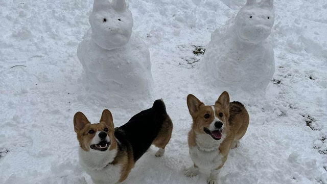 Wisconsin spring snowstorm: Share pictures of the snow near you ❄️