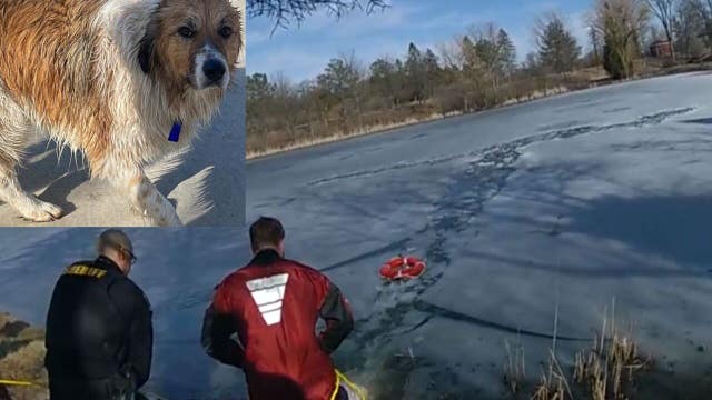 Racine County ice rescue, man, 2 dogs went into pond