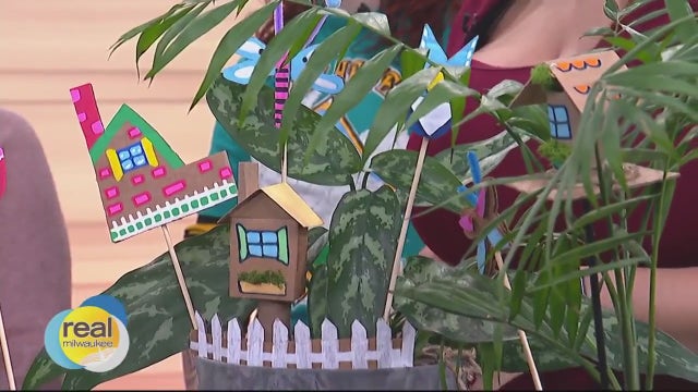 Islands of Brilliance magic house plant project