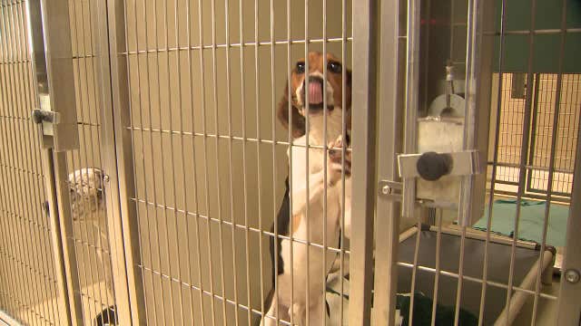 MADACC nears capacity at difficult time of year: 'Winter is rough'