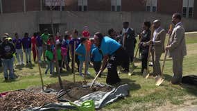 Arbor Day: Milwaukee's Vincent High School continues tradition