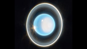 Stunning image of Uranus and its rings captured by James Webb telescope