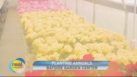 Bayside Garden Center; Tips for planning your garden