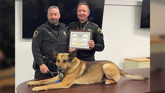 Racine County sheriff's K-9 'Friday' retires