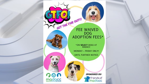 MADACC 'Get The Fur Out' dog adoption promotion