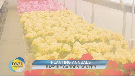 Bayside Garden Center; Tips for planning your garden