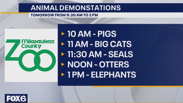 'Egg Day' at Milwaukee County Zoo