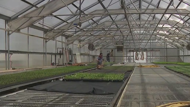 Rain helps Hunger Task Force farm in Franklin: 'A good start'