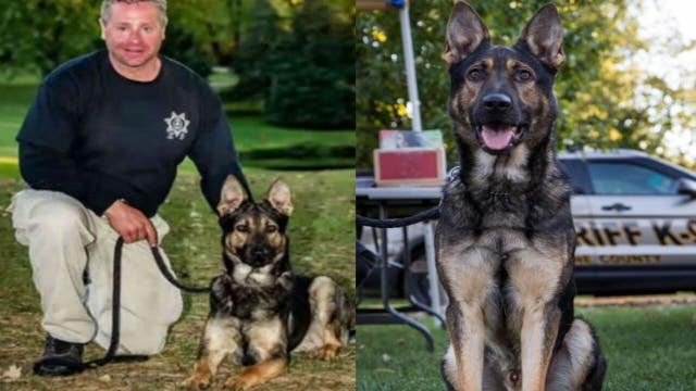 Racine County K-9 Murphy passes away months before retirement