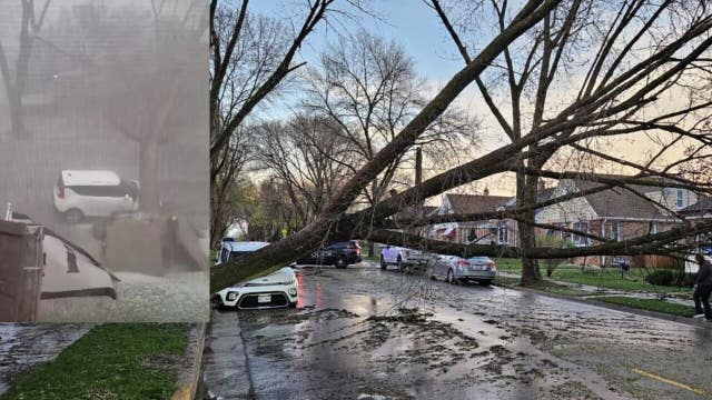 Bay View storm takes down tree, falls on Kia