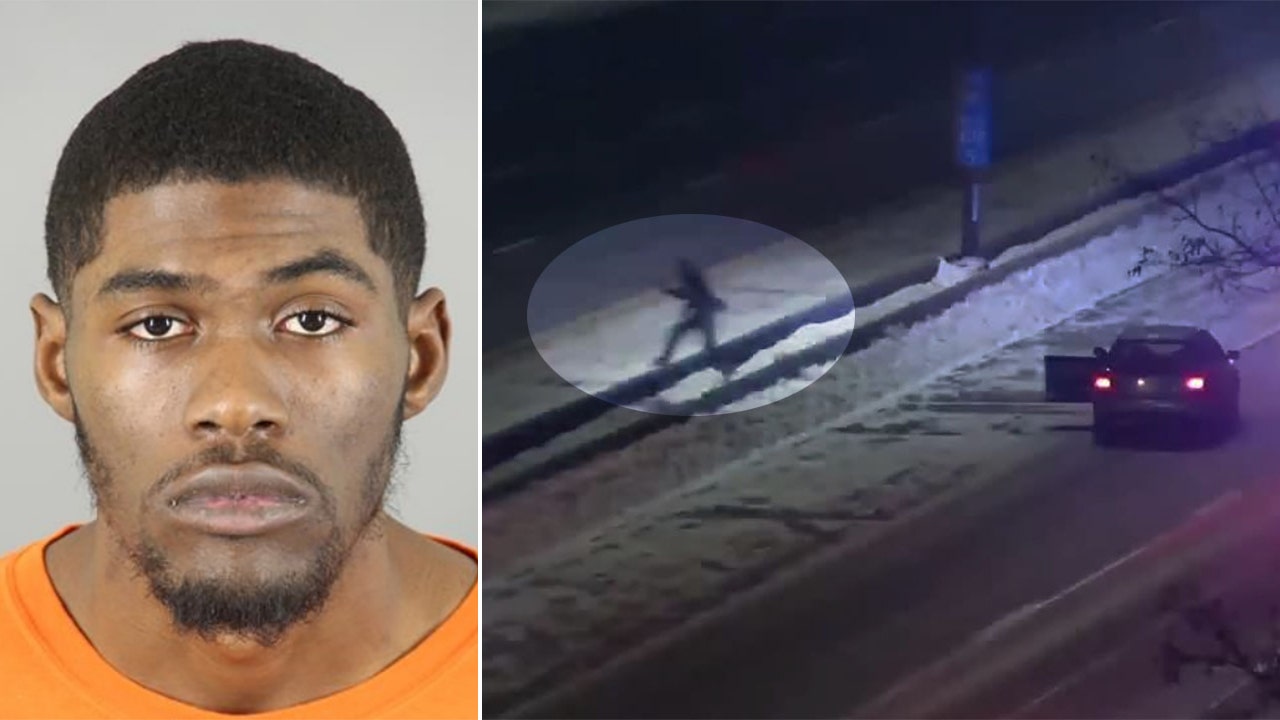 Waukesha Police Chase; Man Ran Across I-94, Gets Probation - TrendRadars