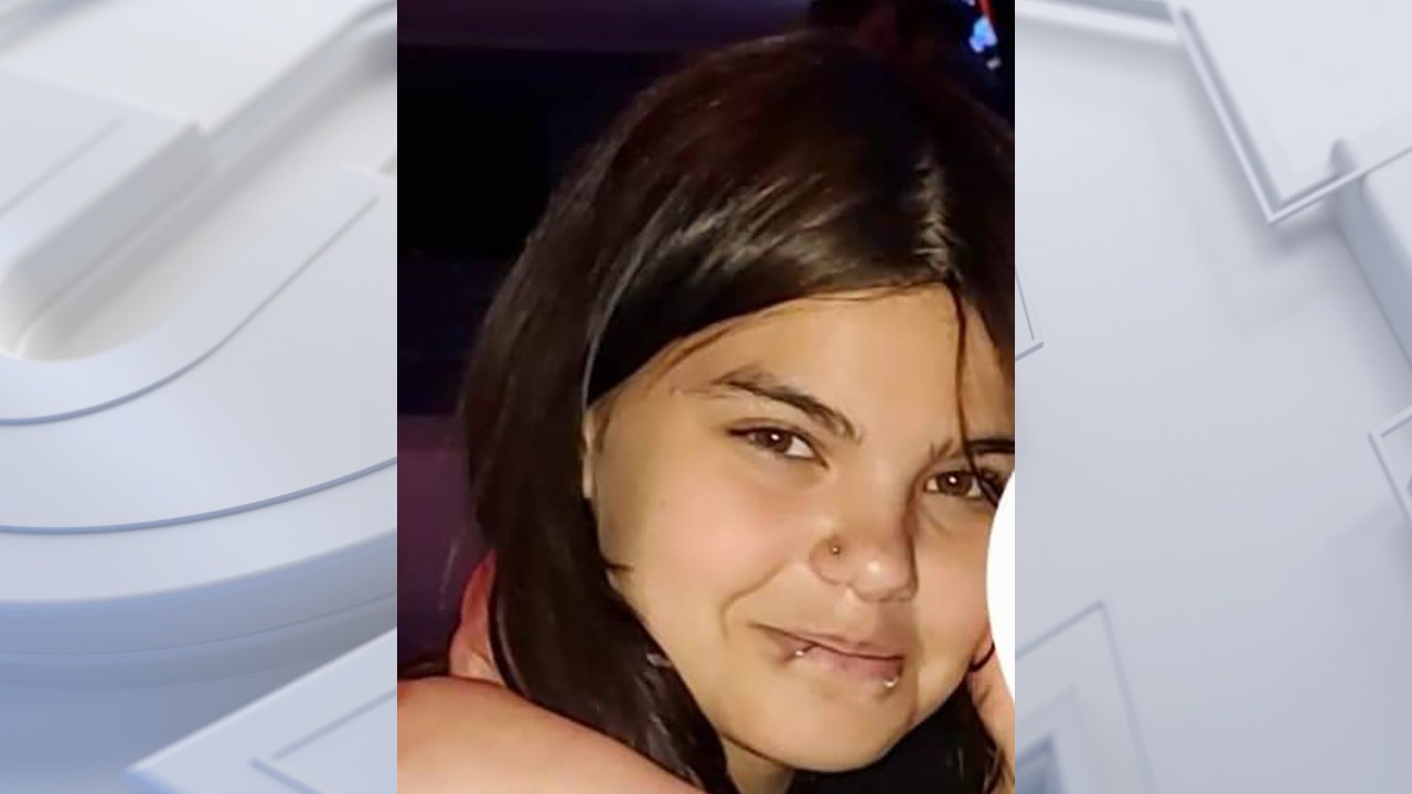 Janesville girl missing, reportedly Milwaukee bound: police