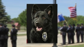 New Berlin K-9 Condor remembered: 'He was a good boy'