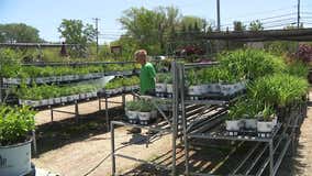 Spring heat stretch; watering plants crucial for business, gardeners
