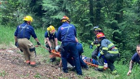 Washington man missing for 5 days found alive inside truck in ravine