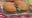 Thai burgers: recipe