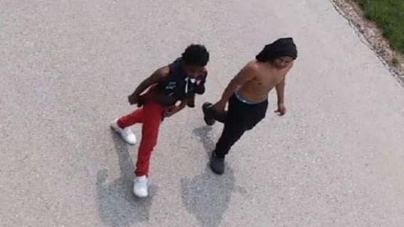 Menomonee Falls Briggs & Stratton car theft, 2 sought