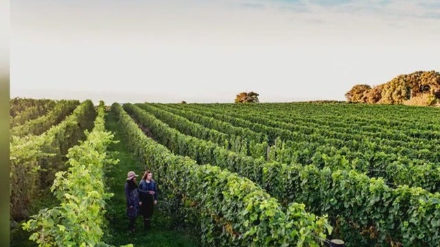 Summer road trips from Milwaukee