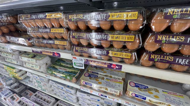 Egg prices should be going down soon, report finds