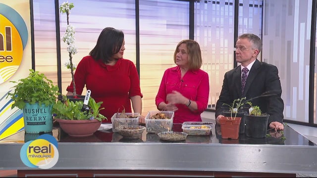 Gardening in a changing climate