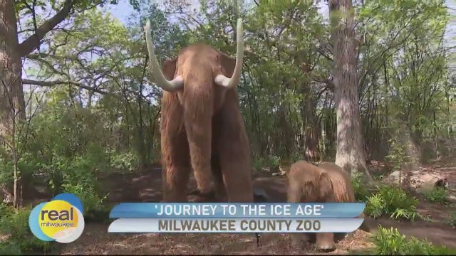 Take a 'Journey to the Ice Age' at the Milwaukee County Zoo