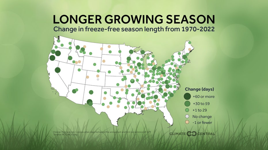 Worsening allergy season in Wisconsin due to longer, warmer springs