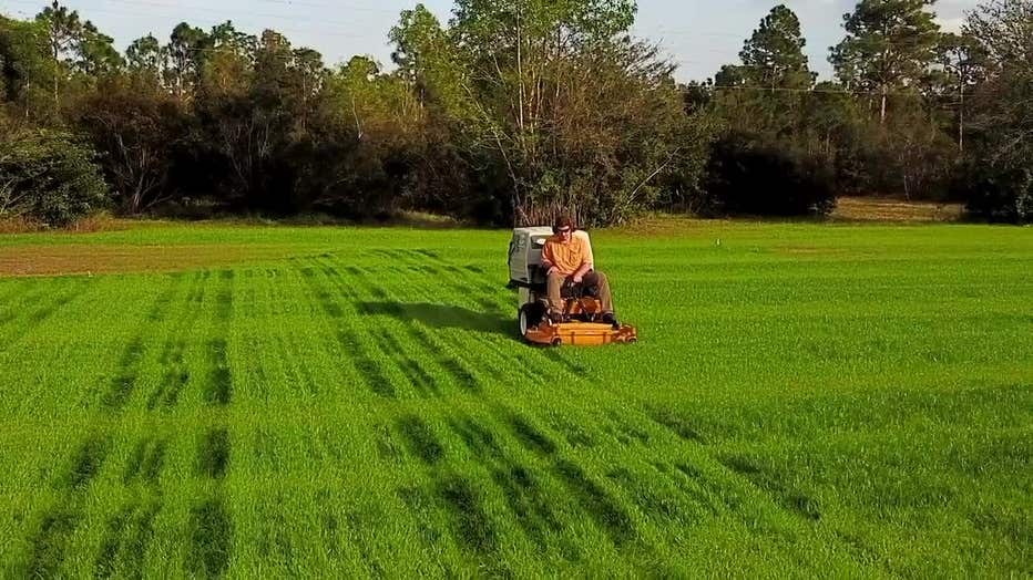 Top tested lawn mowers