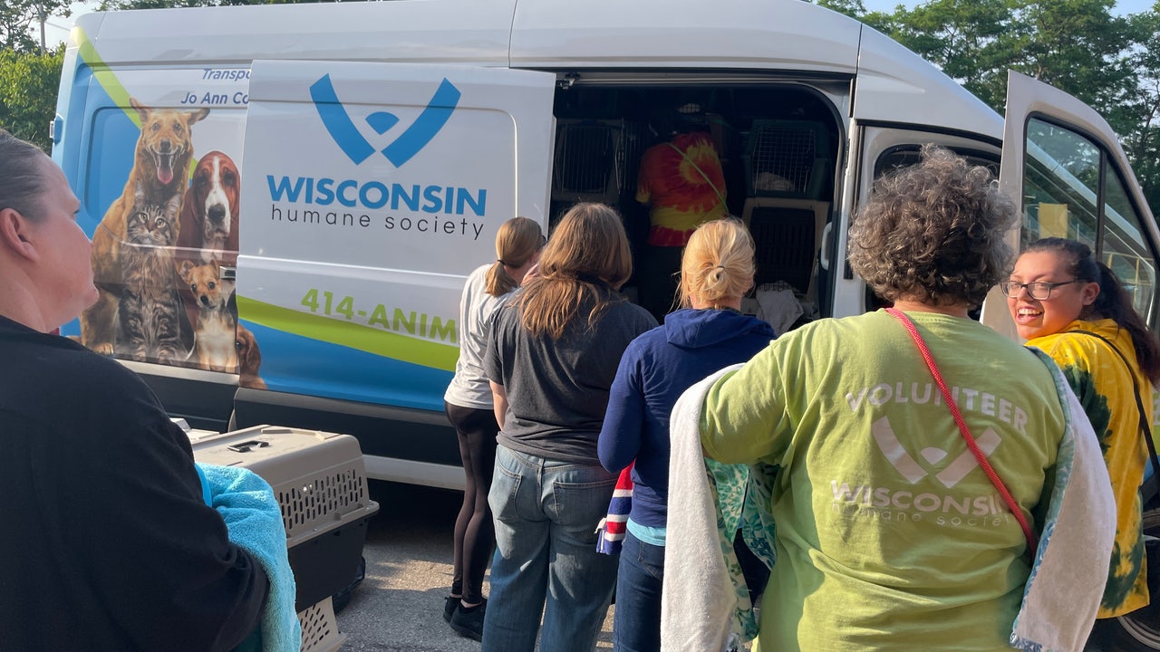 Wisconsin Humane Society rescues dogs from breeder, 23 found