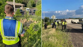 Semi tips in Eau Claire, sheep spill onto side of highway
