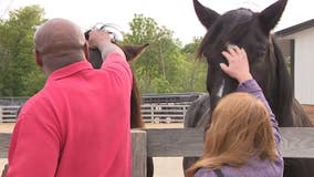 MKE Urban Stables equine therapy helps veterans with PTSD