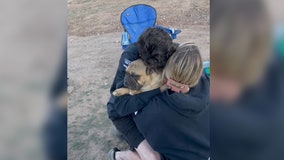 Tearjerking video: Utah couple reunites with lost dog after days-long search