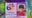 Look who's 6 on June 5, 2023