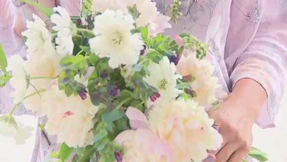 Brown Deer Farmers Market; wonderful place for families