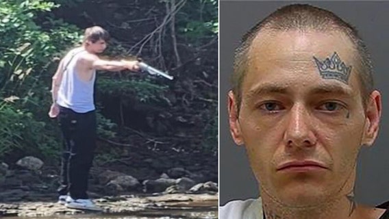 Mount Pleasant ducks 'shot and killed,' man arrested