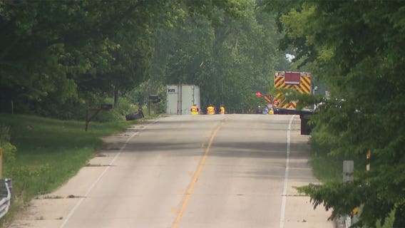 Kenosha County semi crash, rig hits utility pole, 2 trees
