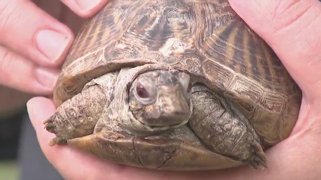 Wehr Nature Center has plenty to explore